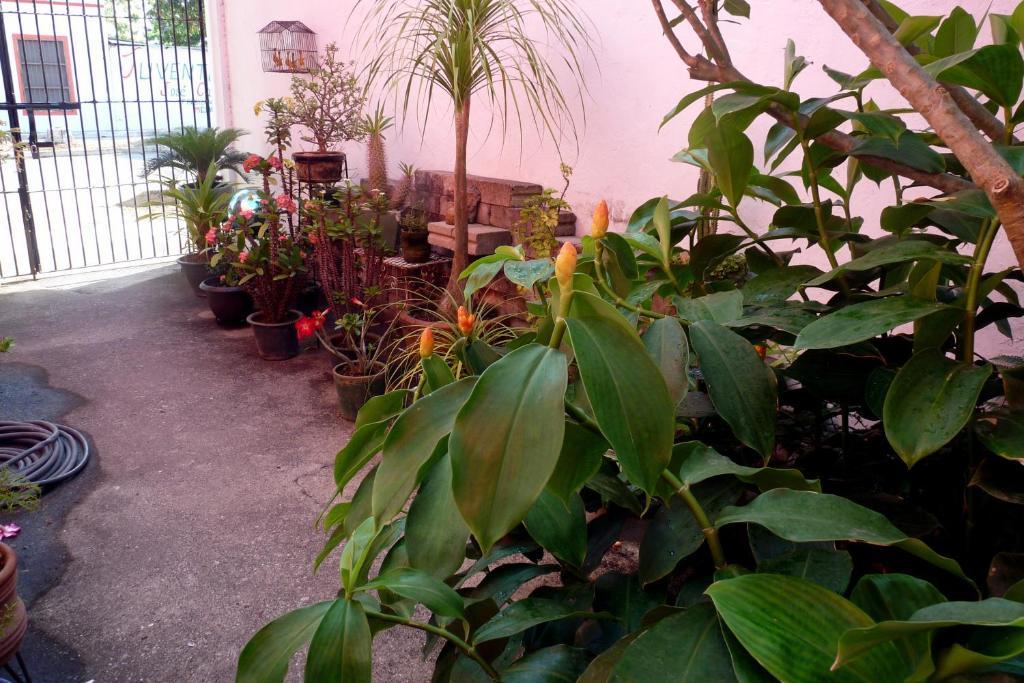 Casa De La Luz - Studio Apartment Tlacotalpan Kamer foto